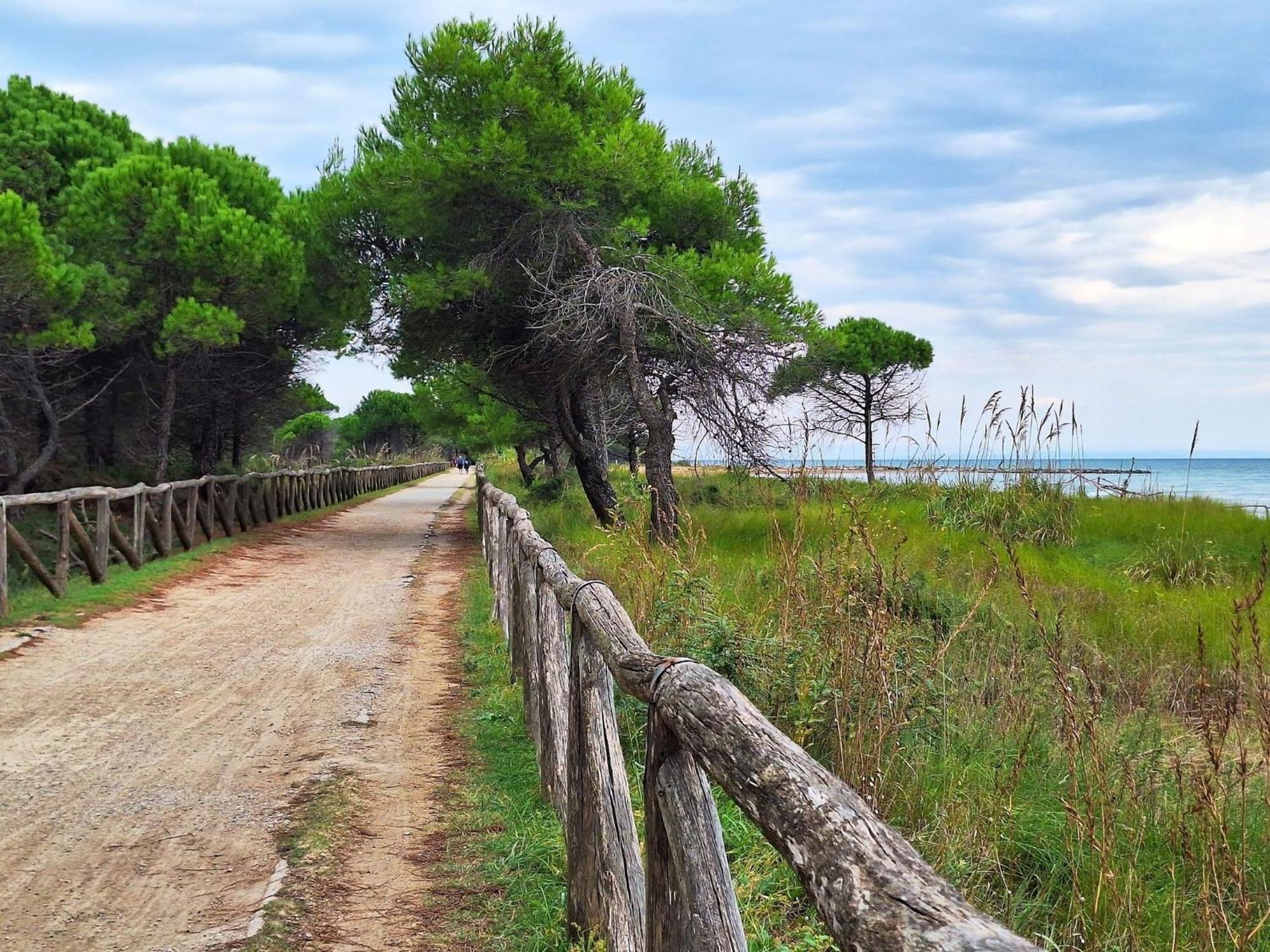 Apartamento Three-bedroom Very Close To The